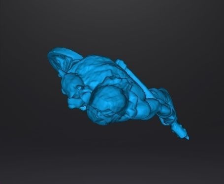 WOLF VIKING AXE AND SHIELD MINIATURE MODEL FANTASY GAMES DND RPG 3D print model_10