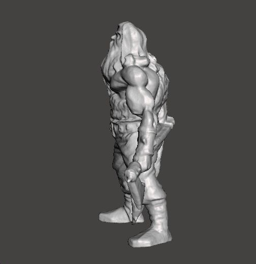 WOLF VIKING AXE AND SHIELD MINIATURE MODEL FANTASY GAMES DND RPG 3D print model_3