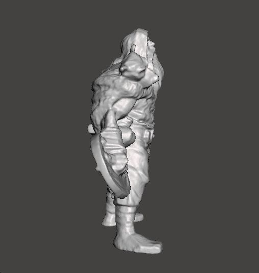 WOLF VIKING AXE AND SHIELD MINIATURE MODEL FANTASY GAMES DND RPG 3D print model_2