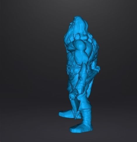 WOLF VIKING AXE AND SHIELD MINIATURE MODEL FANTASY GAMES DND RPG 3D print model_8