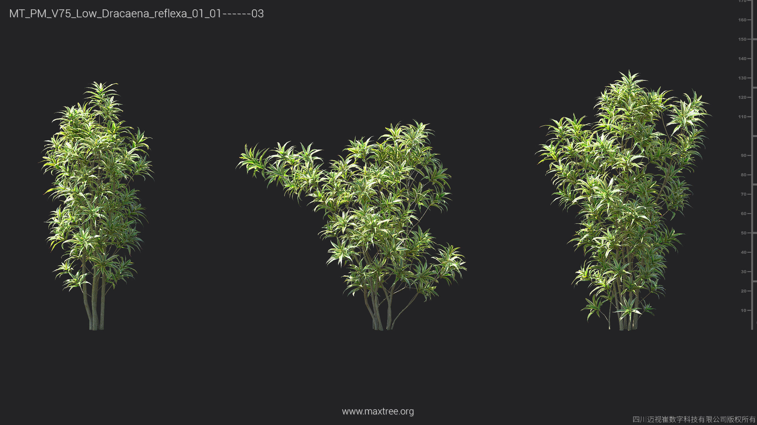 Maxtree Plant Models Vol 75 Low Poly - Mesh 3D model_17