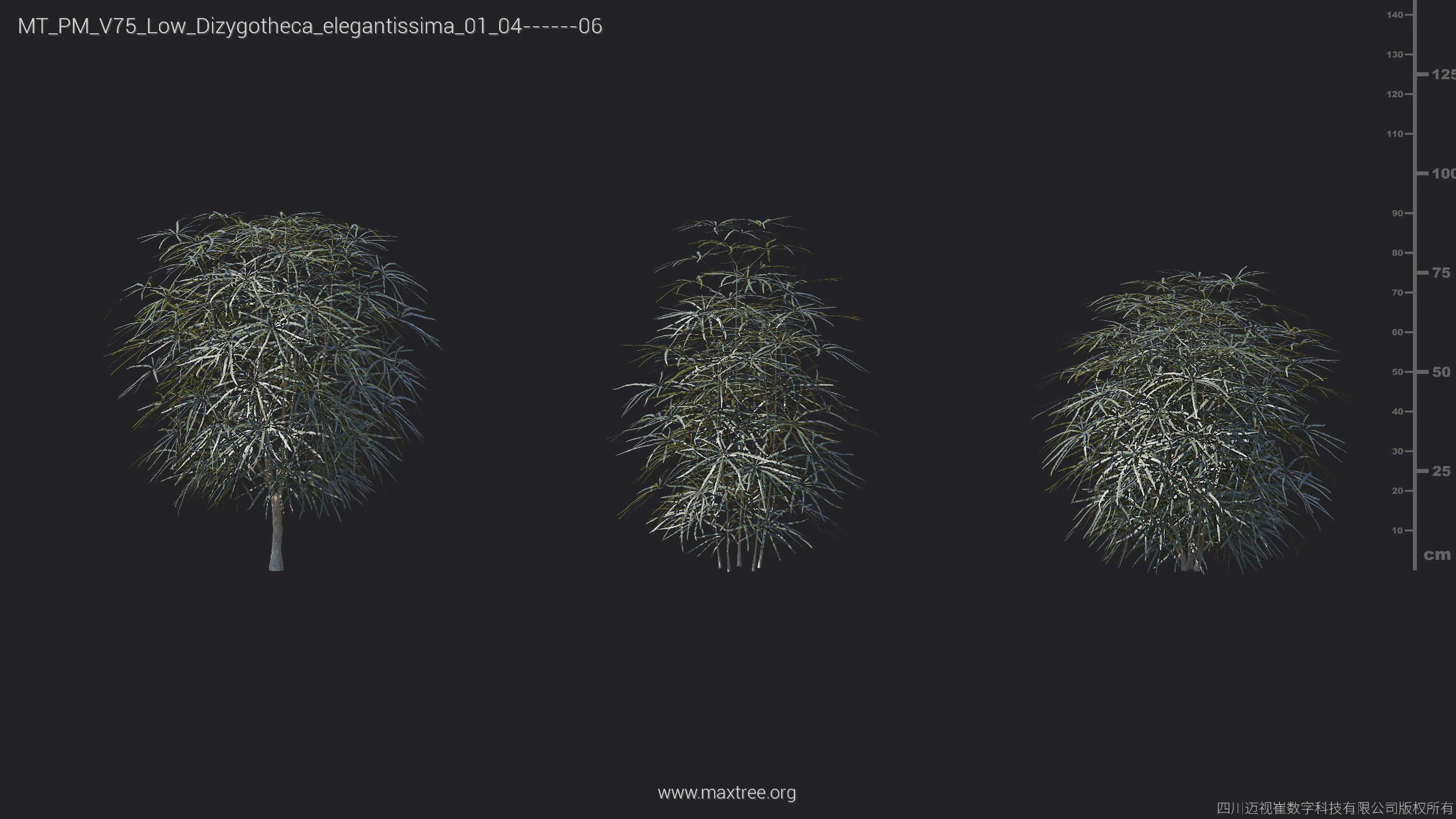 Maxtree Plant Models Vol 75 Low Poly - Mesh 3D model_14