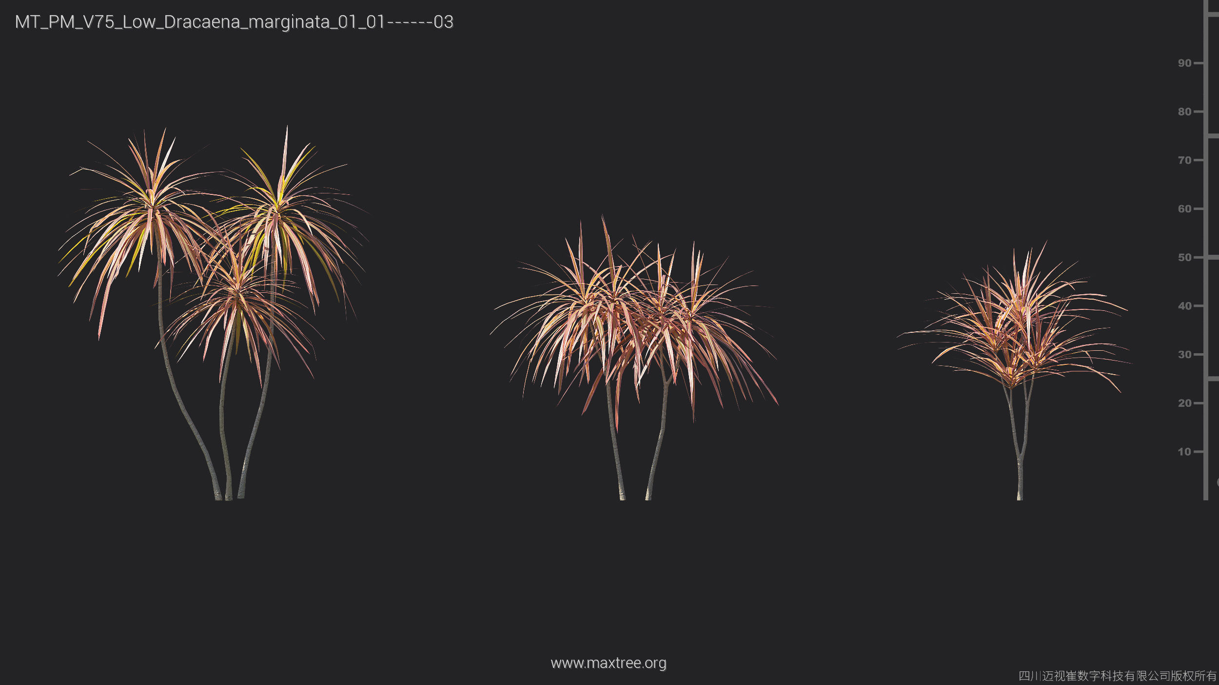 Maxtree Plant Models Vol 75 Low Poly - Mesh 3D model_15