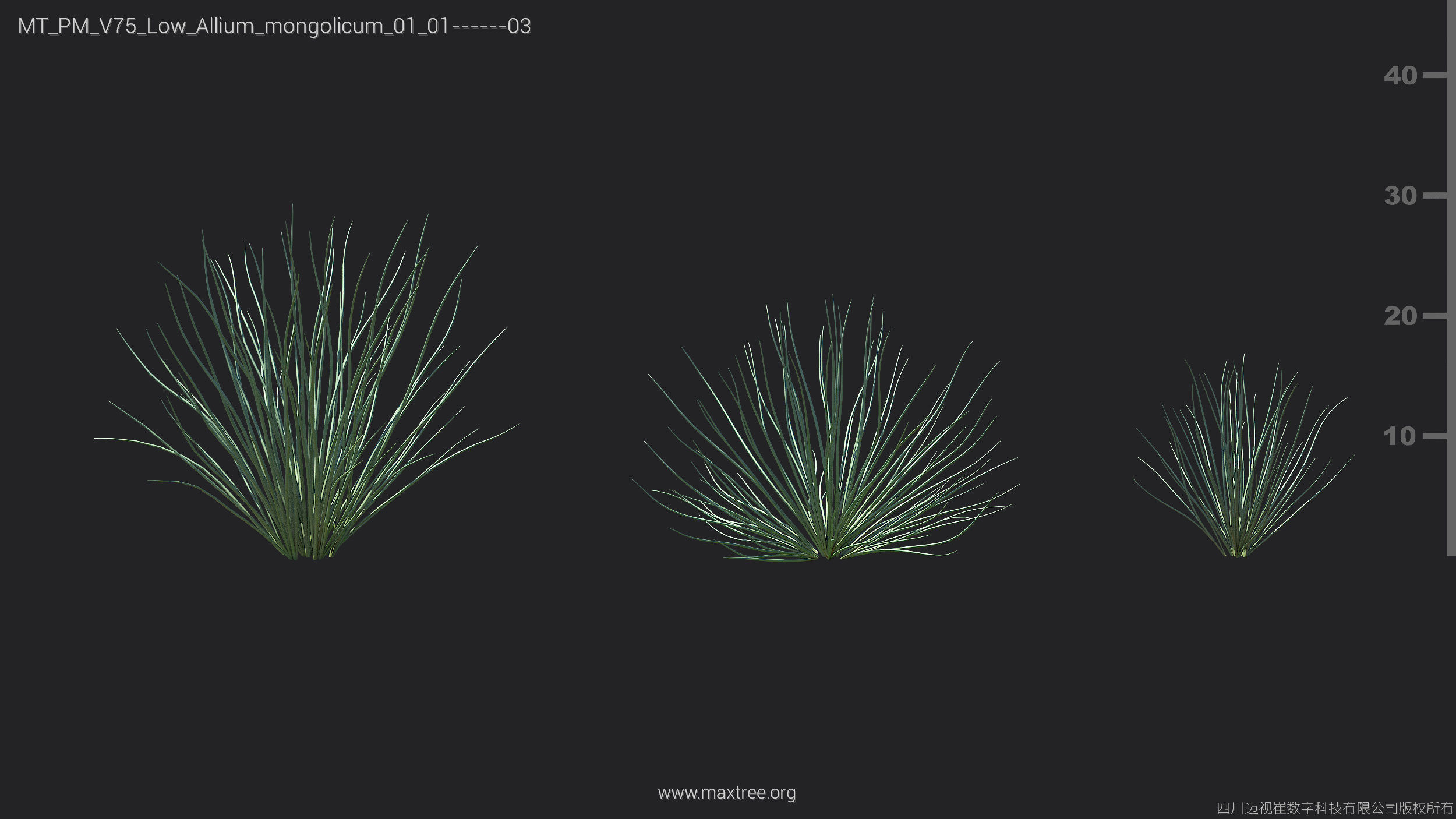 Maxtree Plant Models Vol 75 Low Poly - Mesh 3D model_5