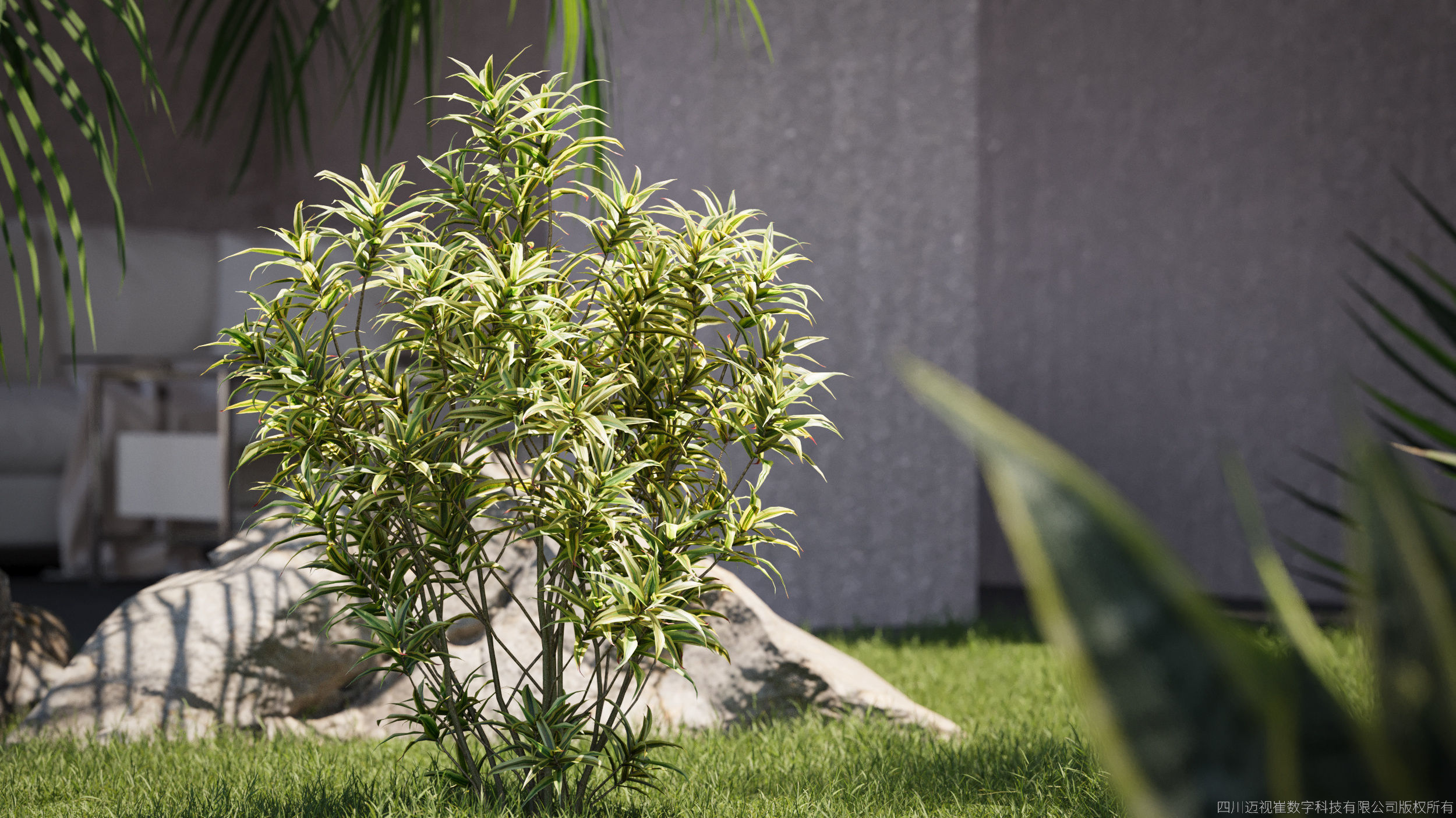 Maxtree Plant Models Vol 75 Low Poly - Mesh 3D model_1