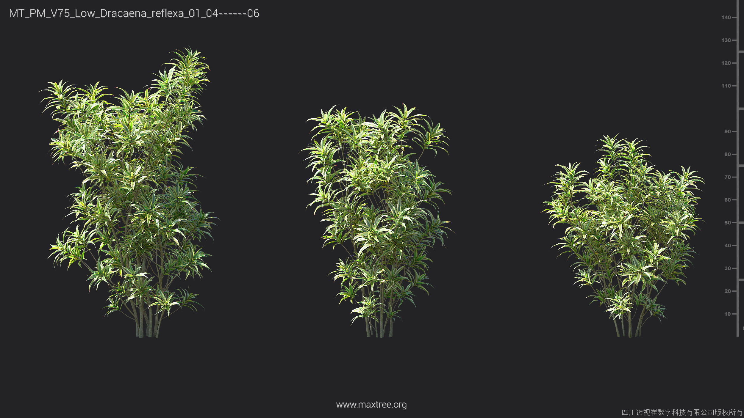 Maxtree Plant Models Vol 75 Low Poly - Mesh 3D model_18