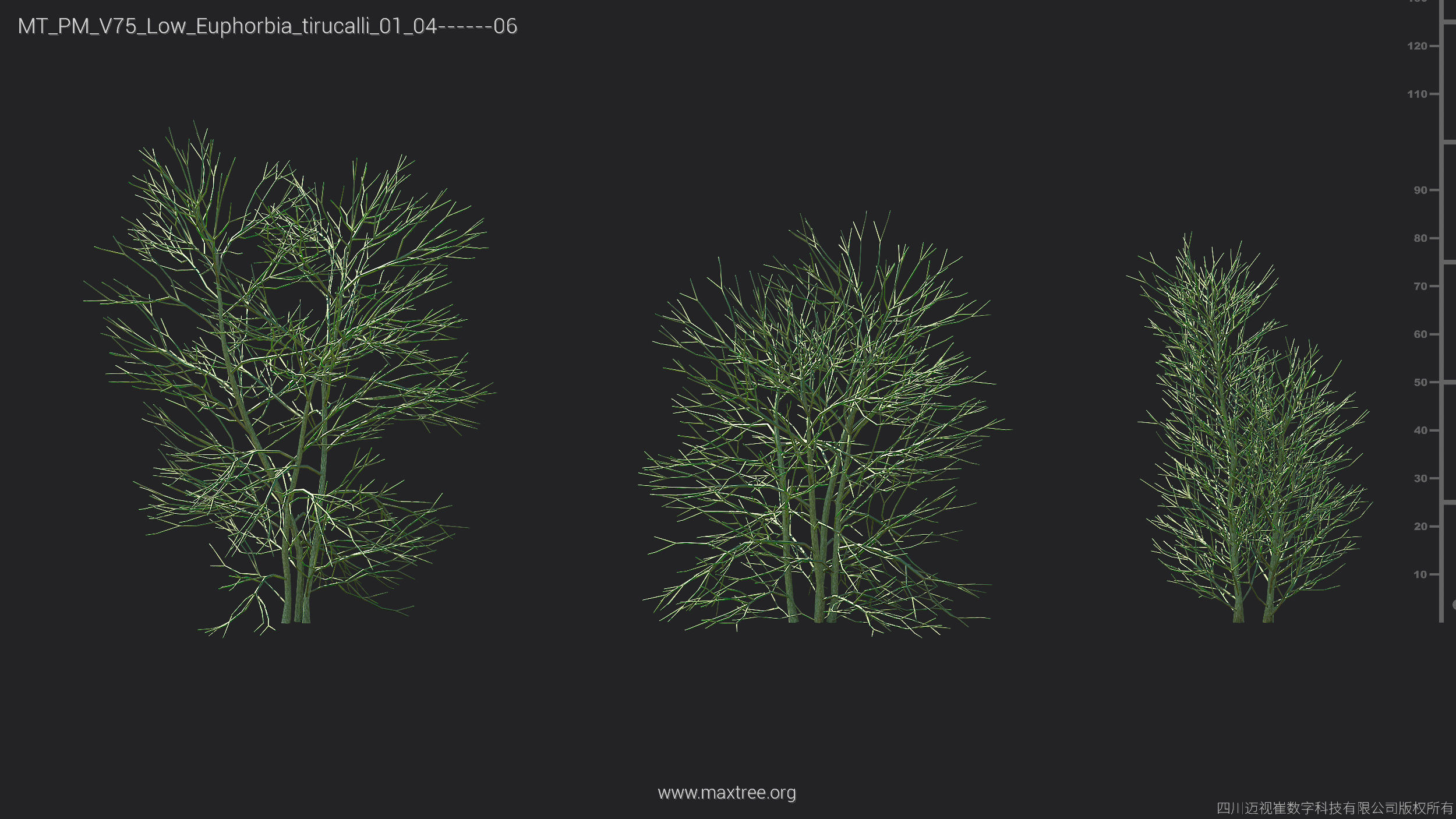 Maxtree Plant Models Vol 75 Low Poly - Mesh 3D model_20