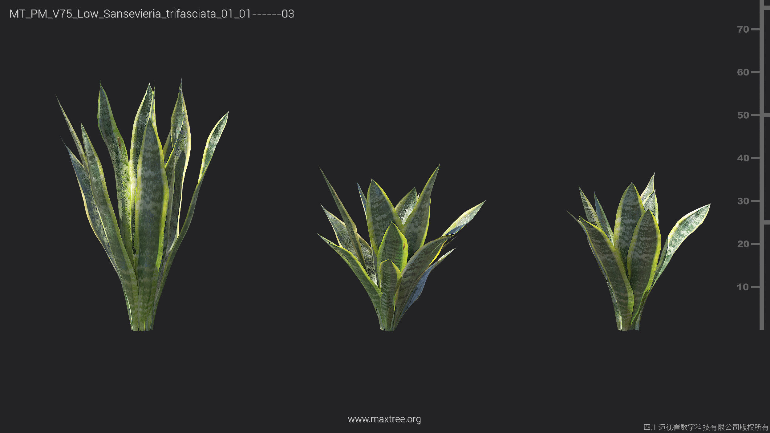 Maxtree Plant Models Vol 75 Low Poly - Mesh 3D model_23