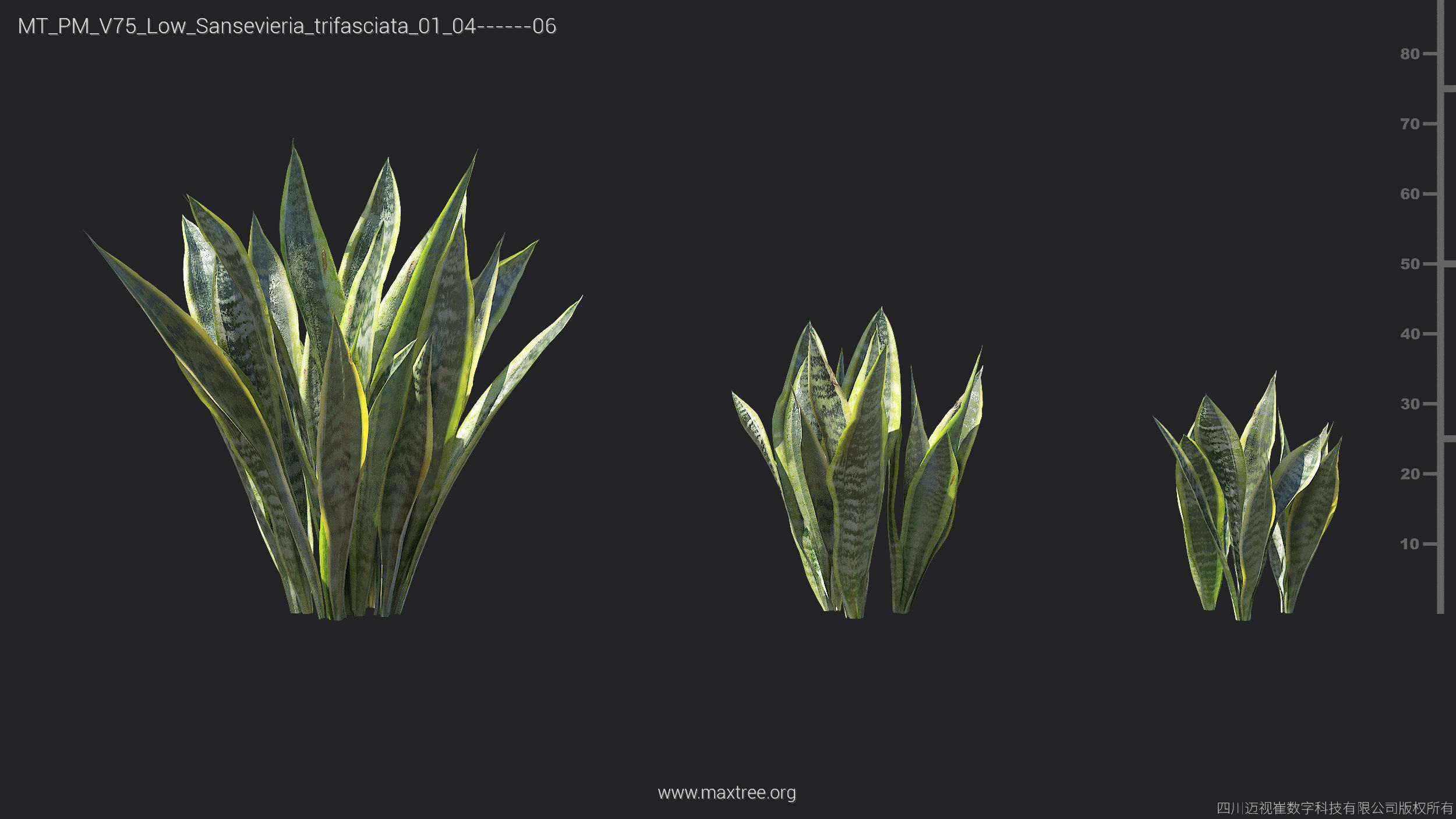 Maxtree Plant Models Vol 75 Low Poly - Mesh 3D model_24