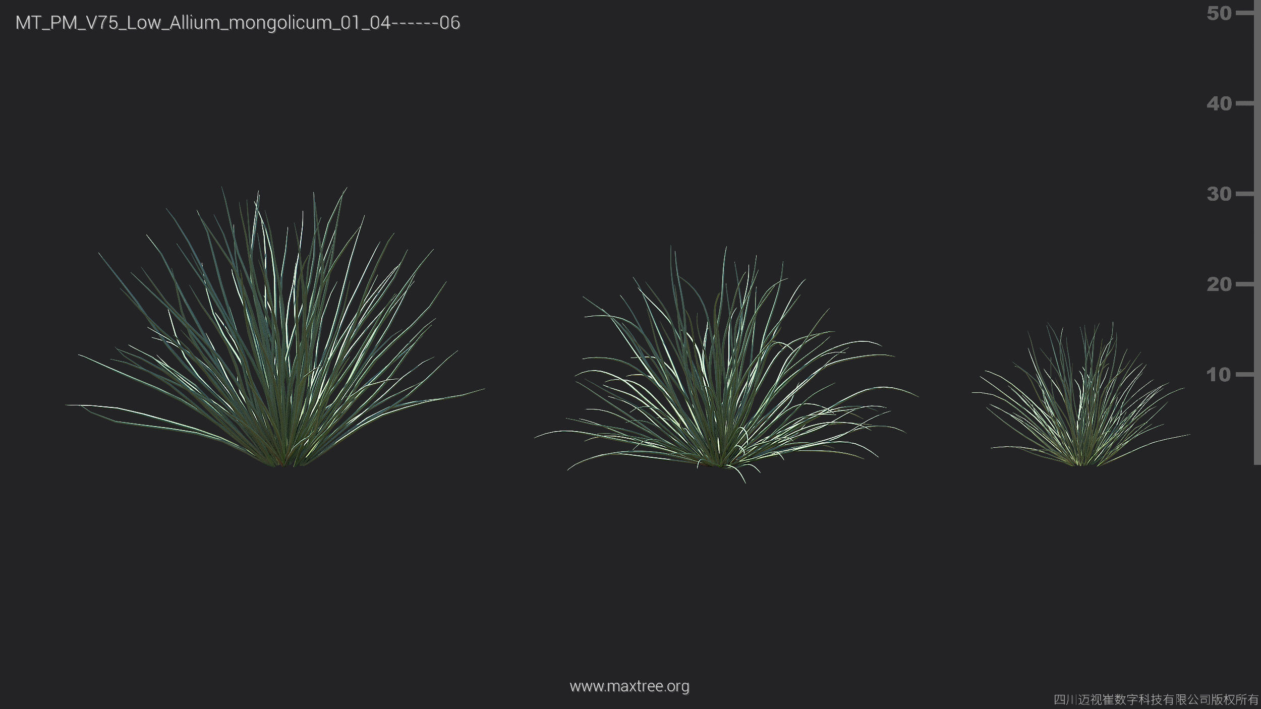 Maxtree Plant Models Vol 75 Low Poly - Mesh 3D model_6