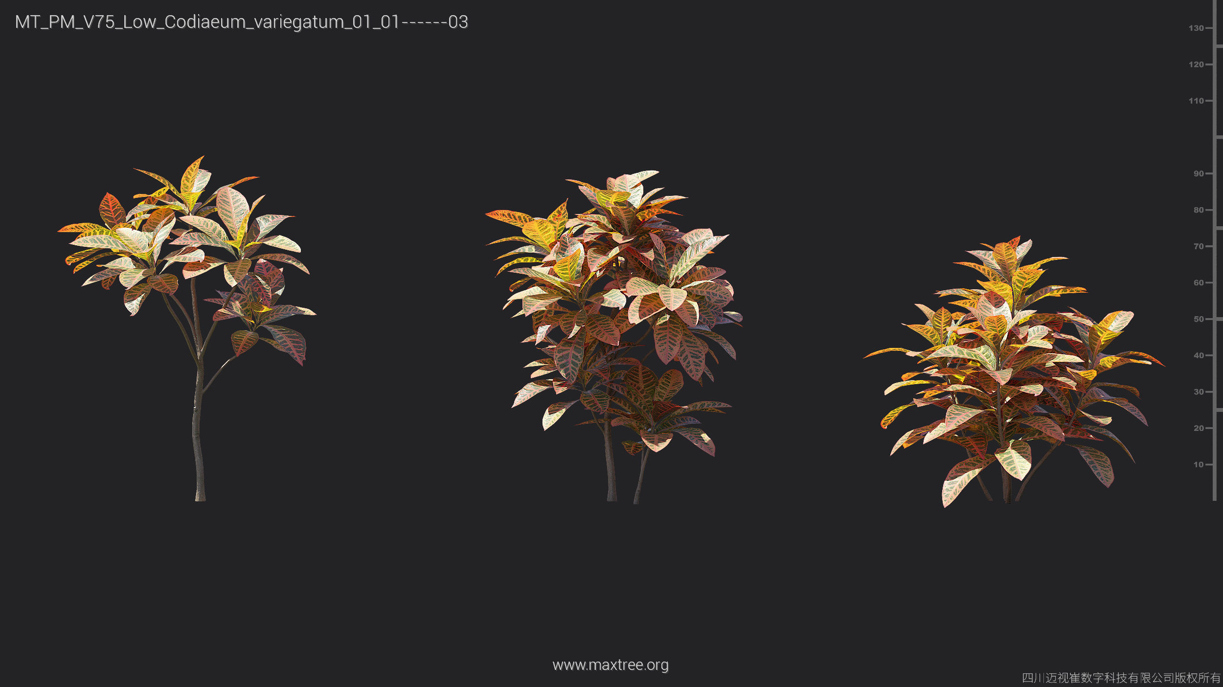 Maxtree Plant Models Vol 75 Low Poly - Mesh 3D model_9