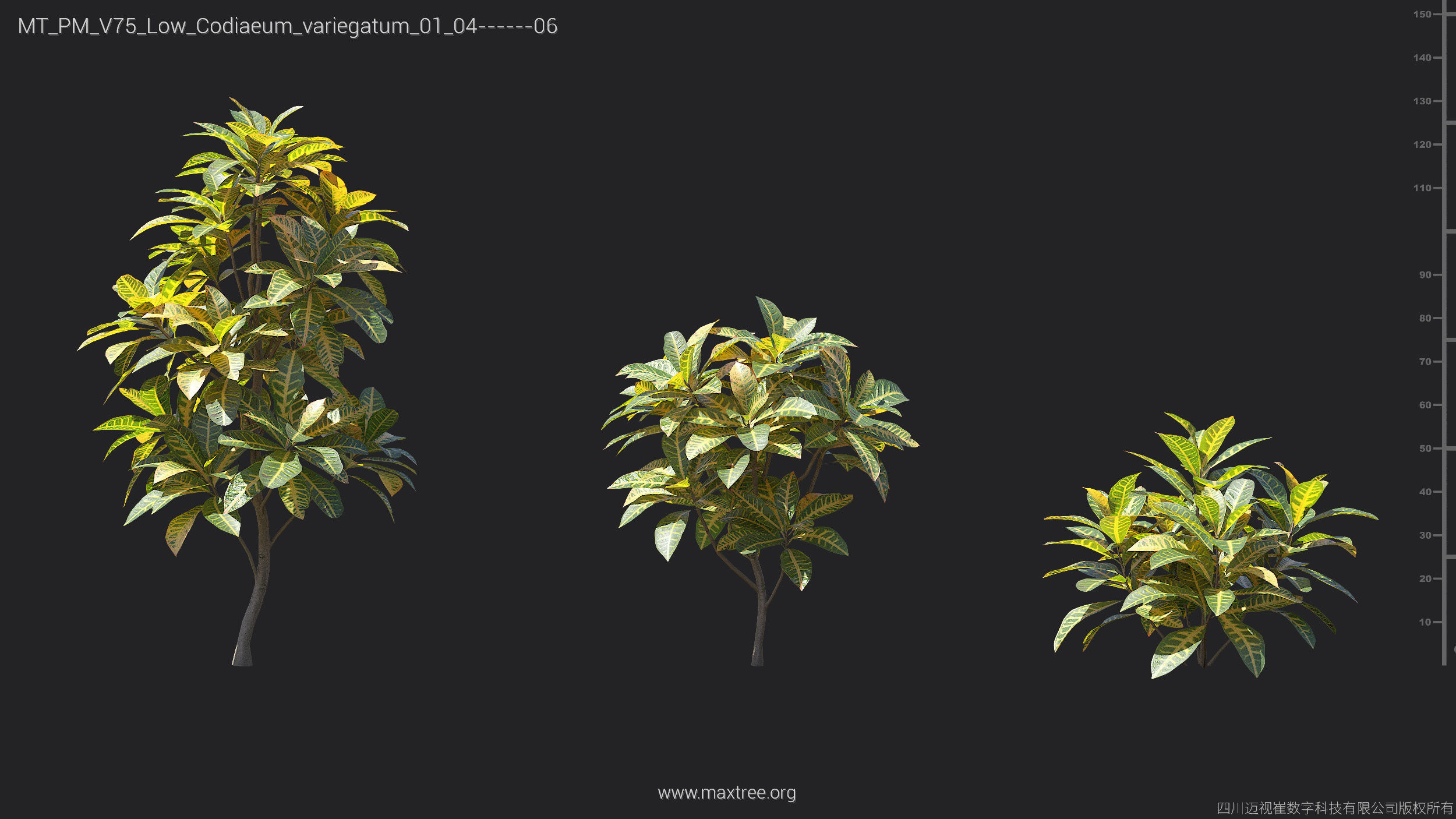 Maxtree Plant Models Vol 75 Low Poly - Mesh 3D model_10