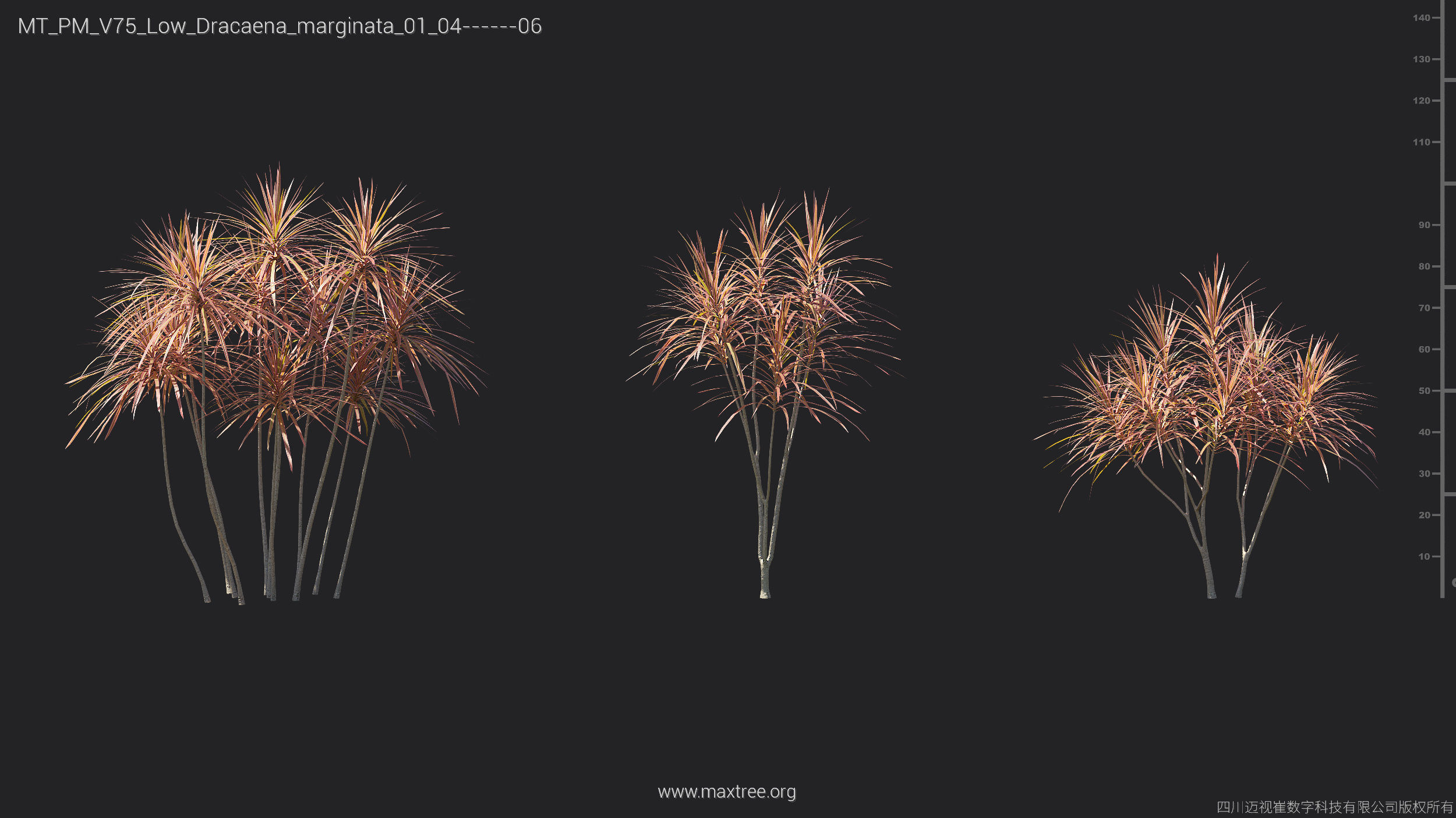 Maxtree Plant Models Vol 75 Low Poly - Mesh 3D model_16