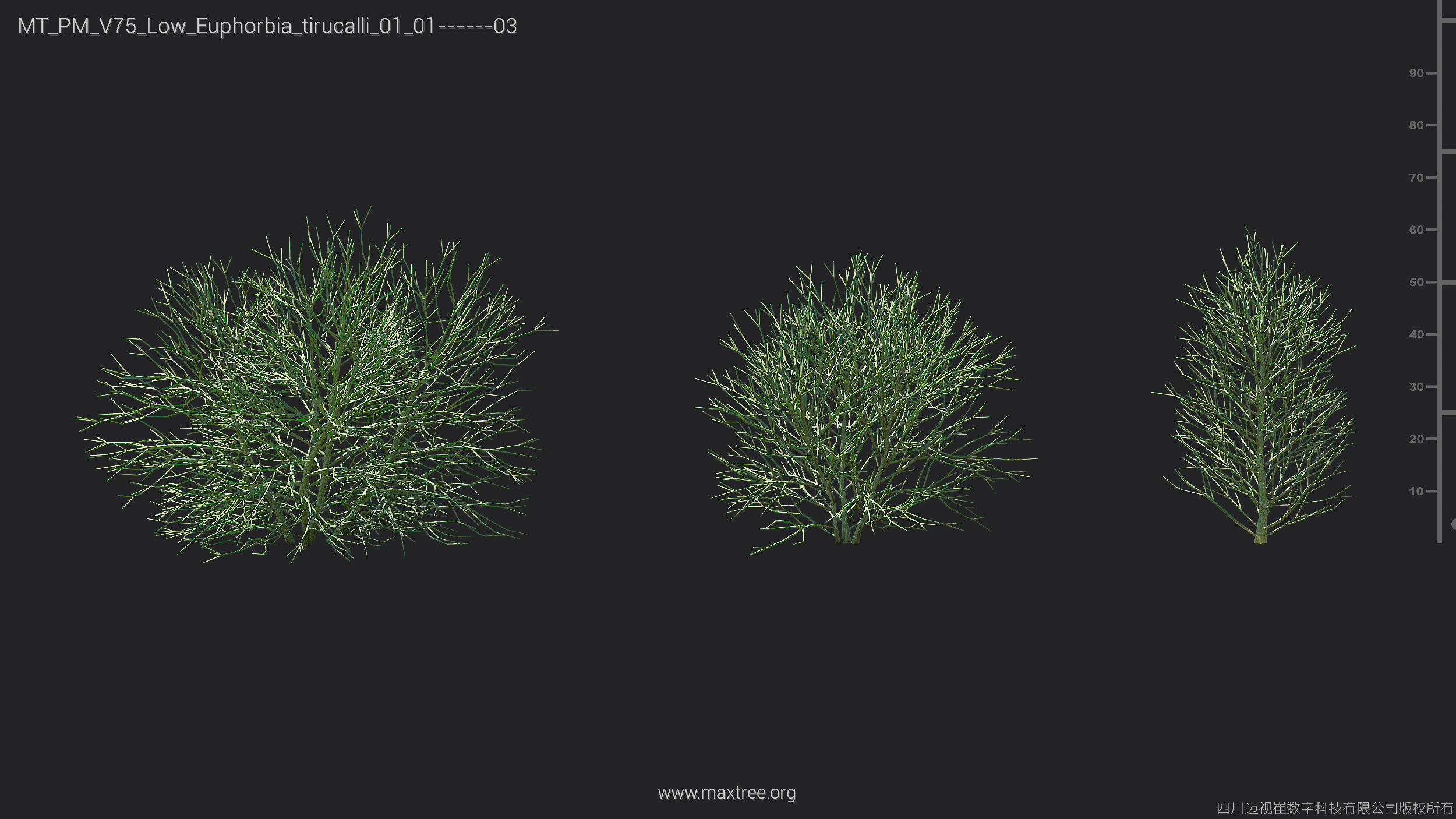 Maxtree Plant Models Vol 75 Low Poly - Mesh 3D model_19