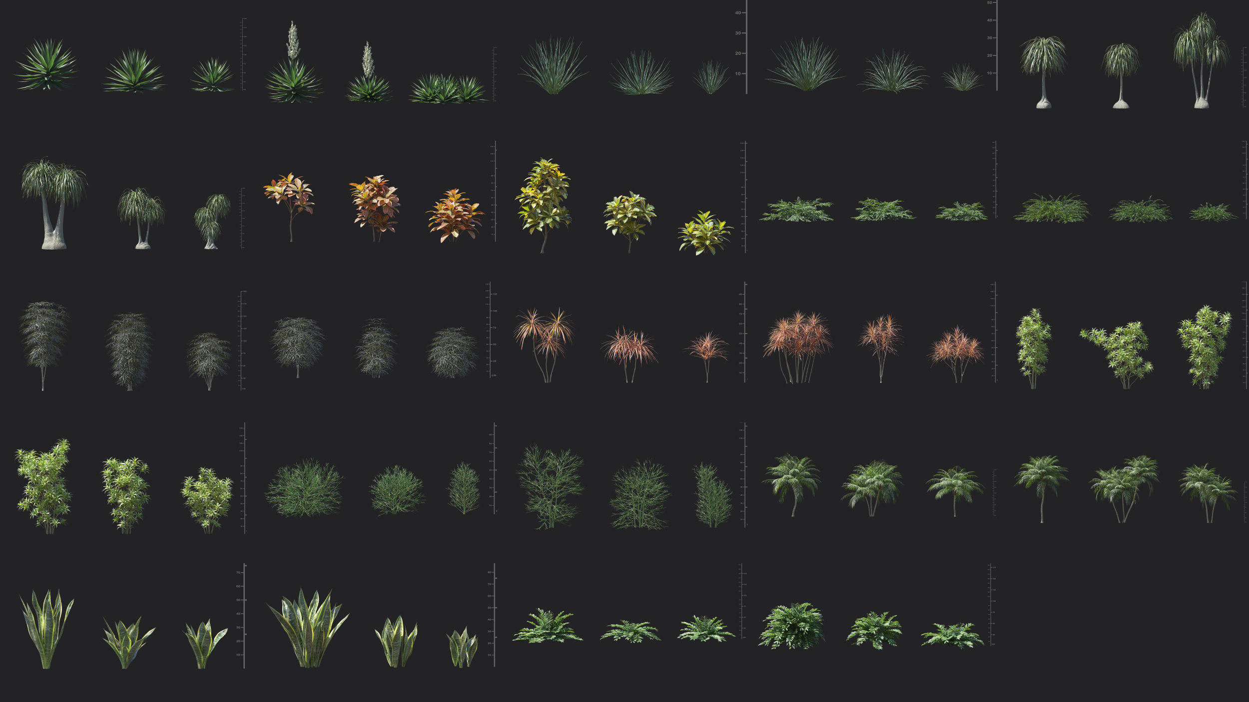 Maxtree Plant Models Vol 75 Low Poly - Mesh 3D model_2