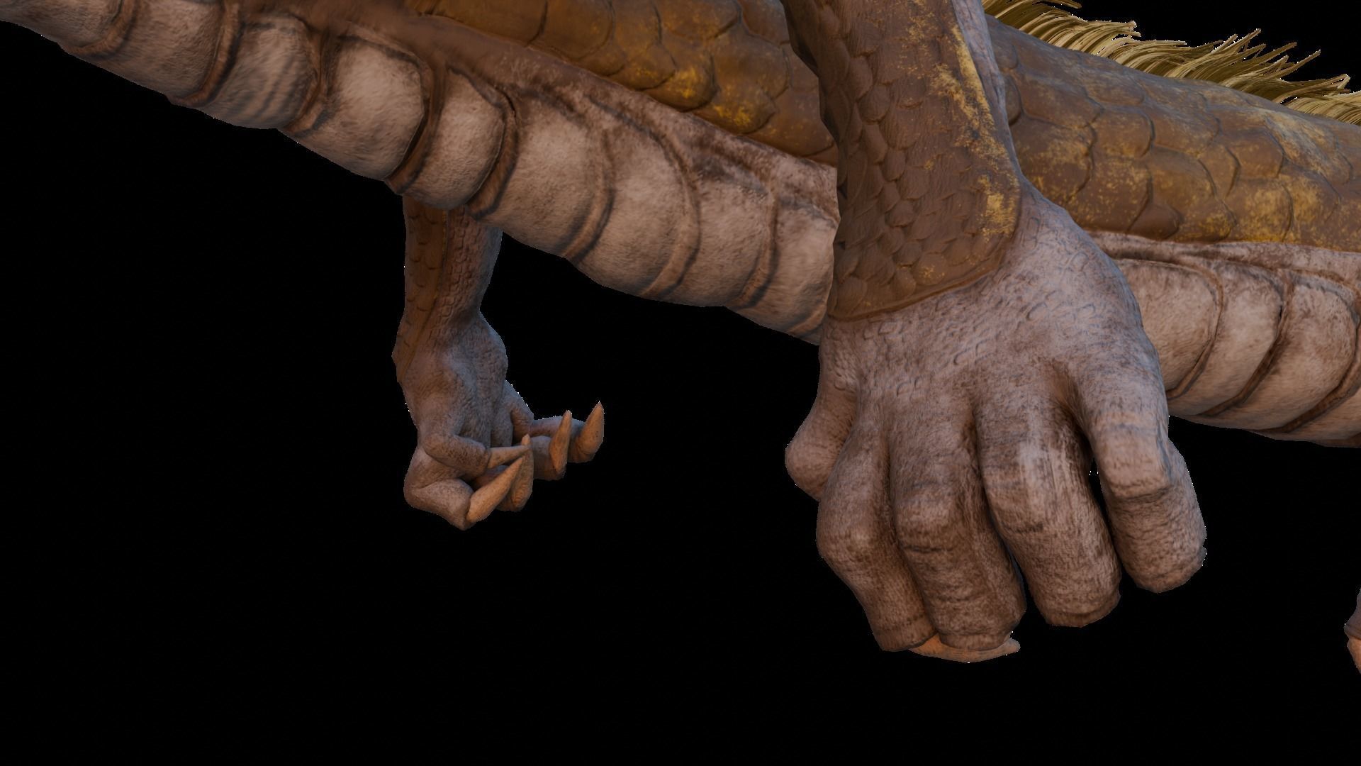 ASIA DRAGON - Rigged - Animated - Low poly - High poly Model Low-poly 3D model_14