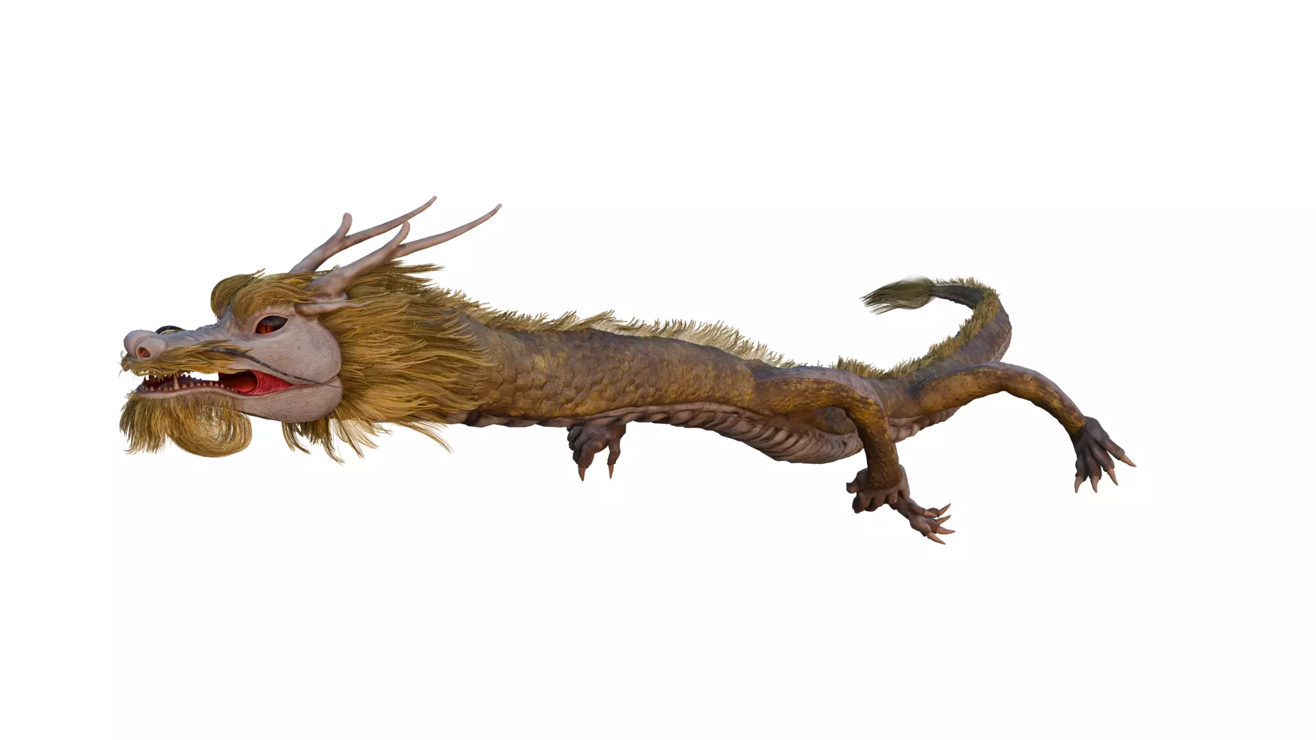 ASIA DRAGON - Rigged - Animated - Low poly - High poly Model Low-poly 3D model_0