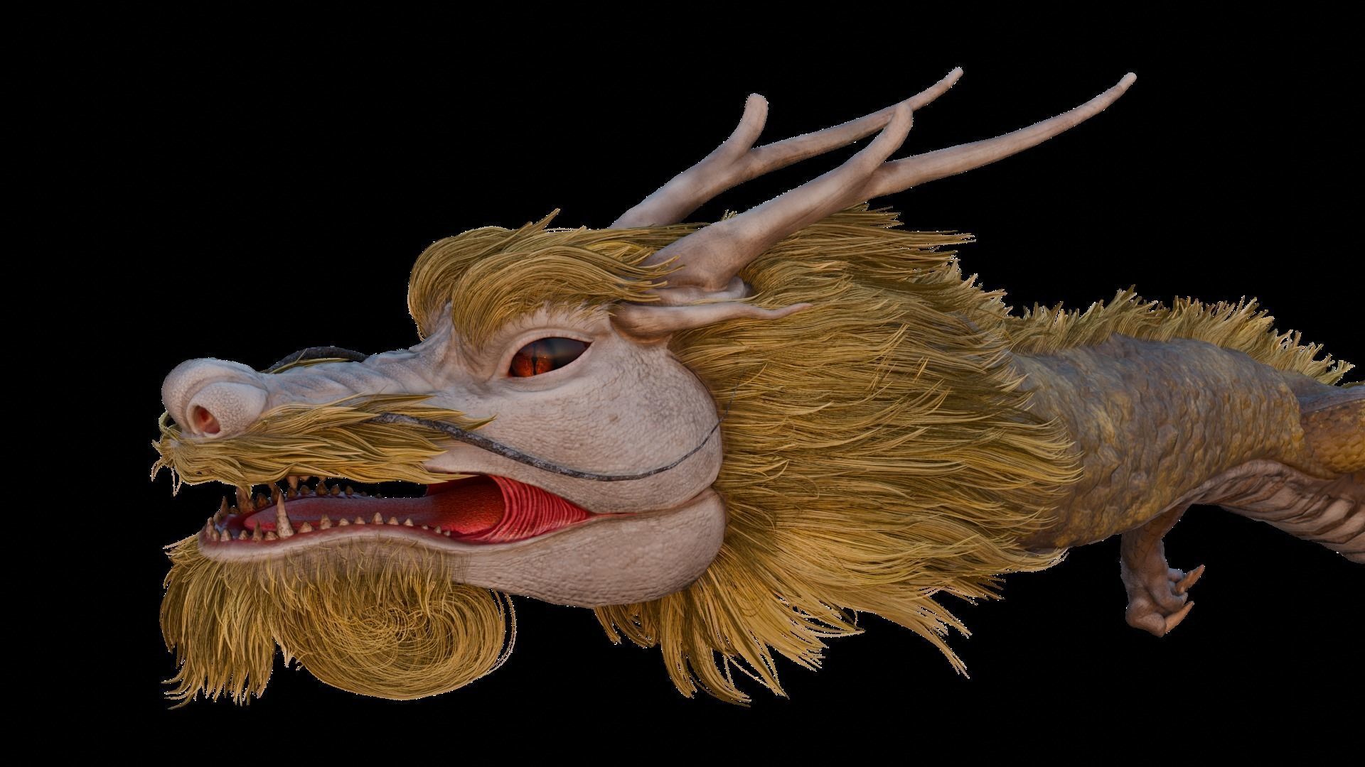 ASIA DRAGON - Rigged - Animated - Low poly - High poly Model Low-poly 3D model_9