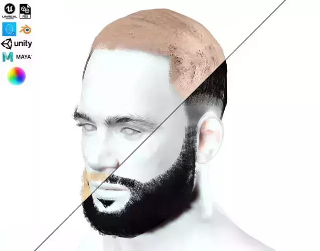 Realistic Male Hair - Afro