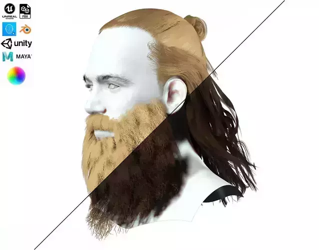 Half Bun And Long Male Hair