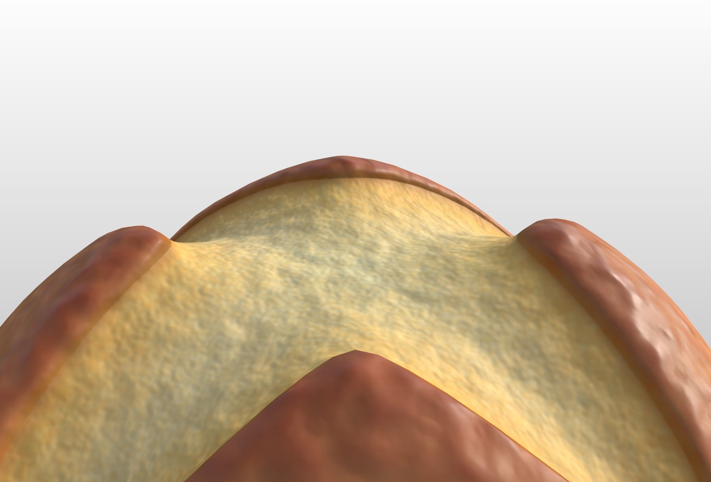 Bread 3D model_17