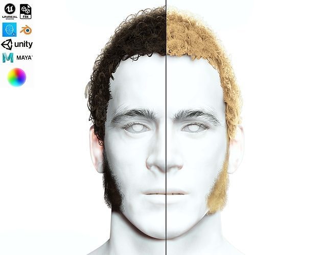 Realistic Curly Man Hair - Sideburns Beard Low-poly 3D model
