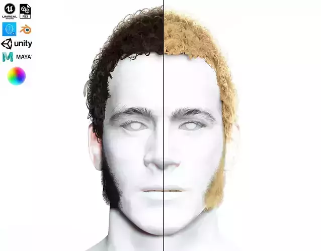 Realistic Curly Man Hair - Sideburns Beard