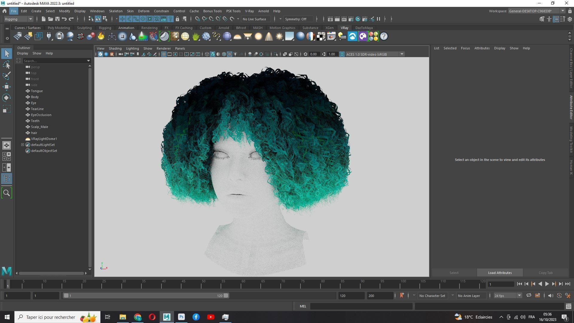 Realistic Female Hair - Kinky Curly Low-Poly Low-poly 3D model_18