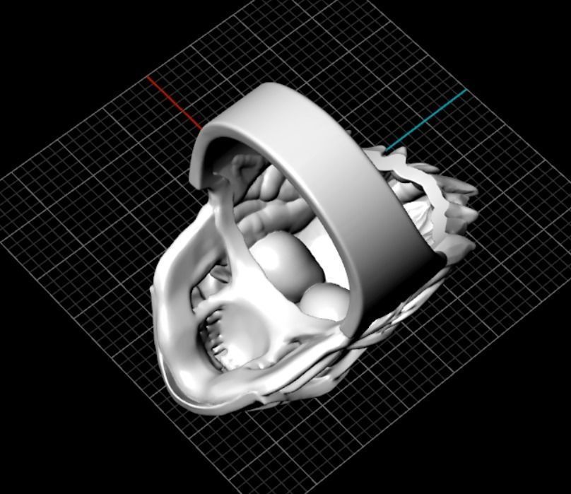 ring mask skull 3D print model_10