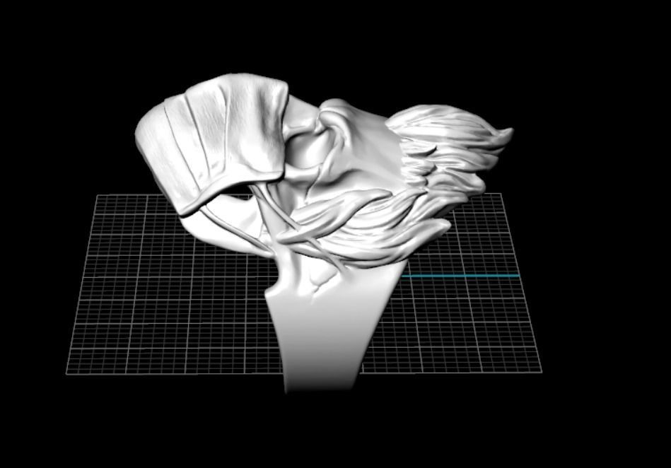 ring mask skull 3D print model_14