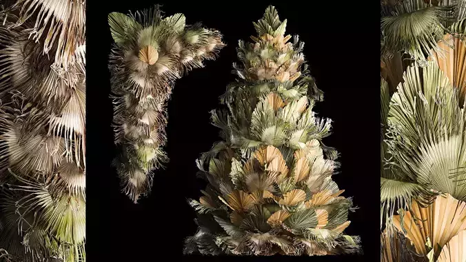 Christmas tree for decoration from dry fan palm leaves 3D model