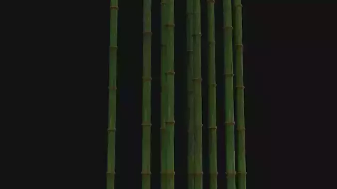Bamboo trunk Low-poly 3D model