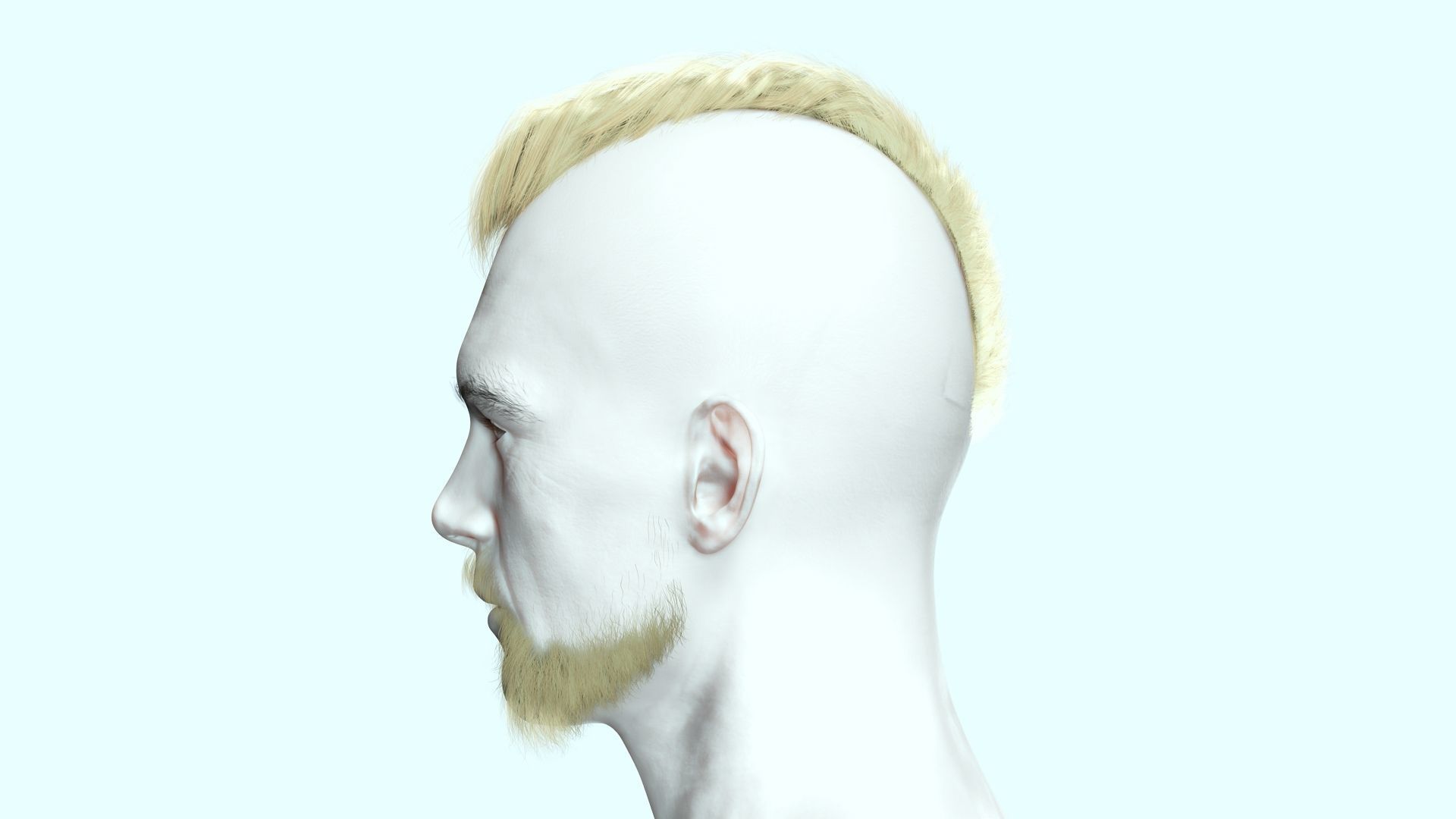 Realistic Viking Male Hair Style - Gunslinger Beard Low-poly 3D model_10