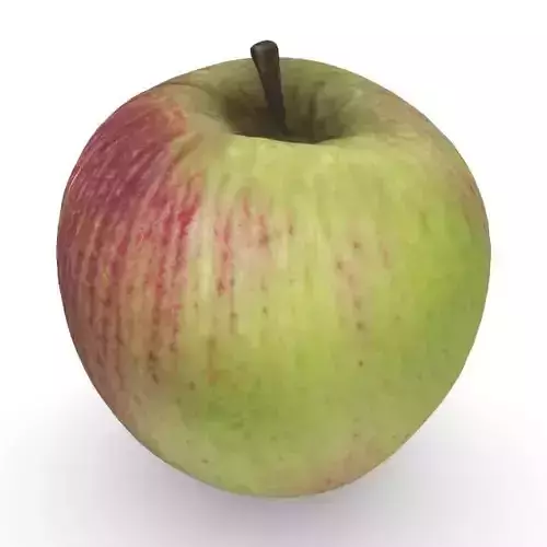 Realistic Apples 4-Pack Collection