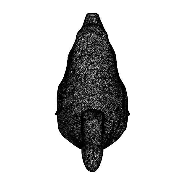 Realistic Mallard Duck - High-Resolution Textured Low-poly 3D model_16