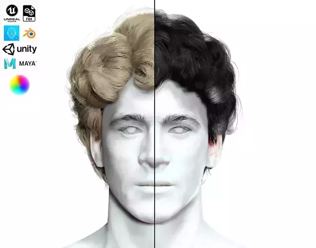 Wavy - Curly Man Hair Low-Poly 3D model