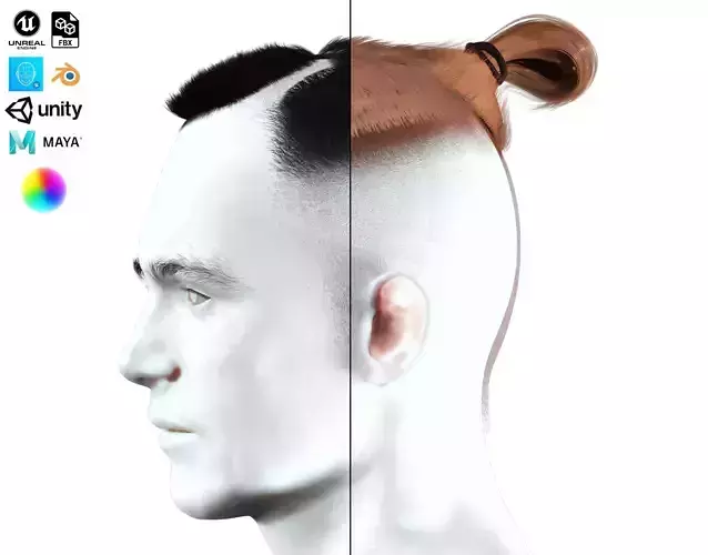 Man Bun -Low Fade Hair Cut Low-Poly