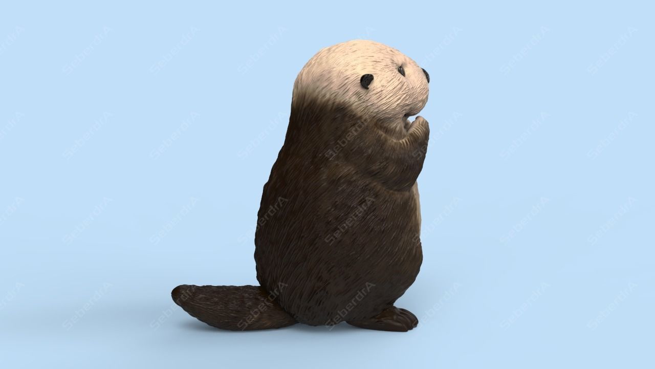 Cute Sea Otter STL and VRML 3D print model_3
