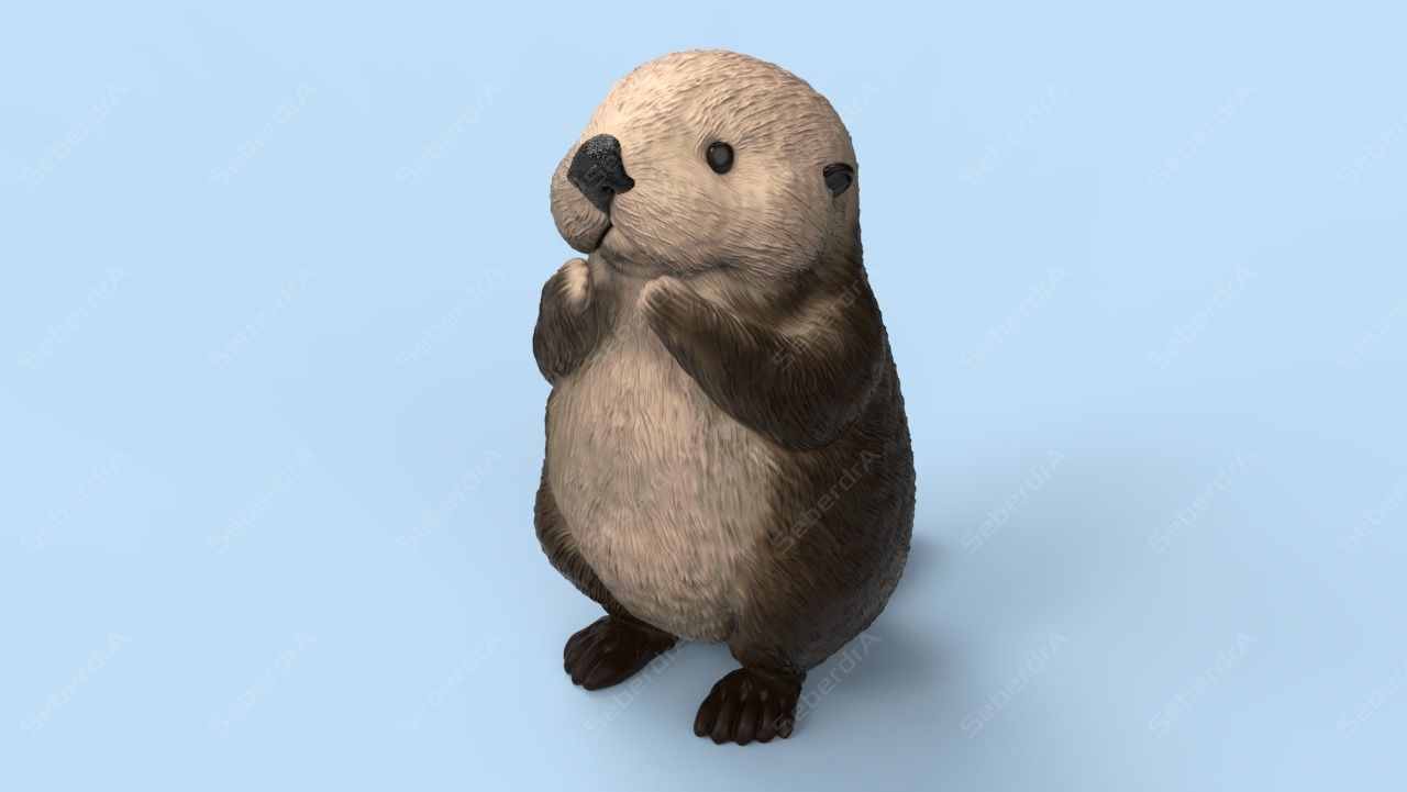 Cute Sea Otter STL and VRML 3D print model_2