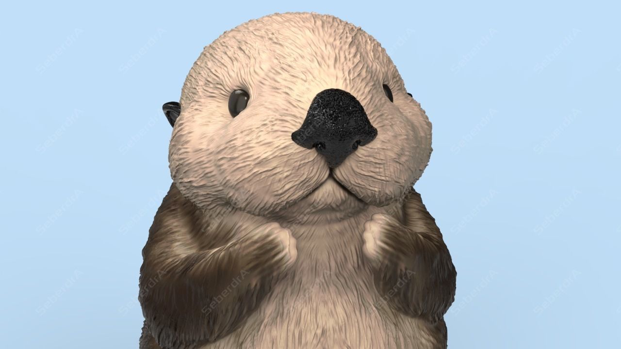 Cute Sea Otter STL and VRML 3D print model_4