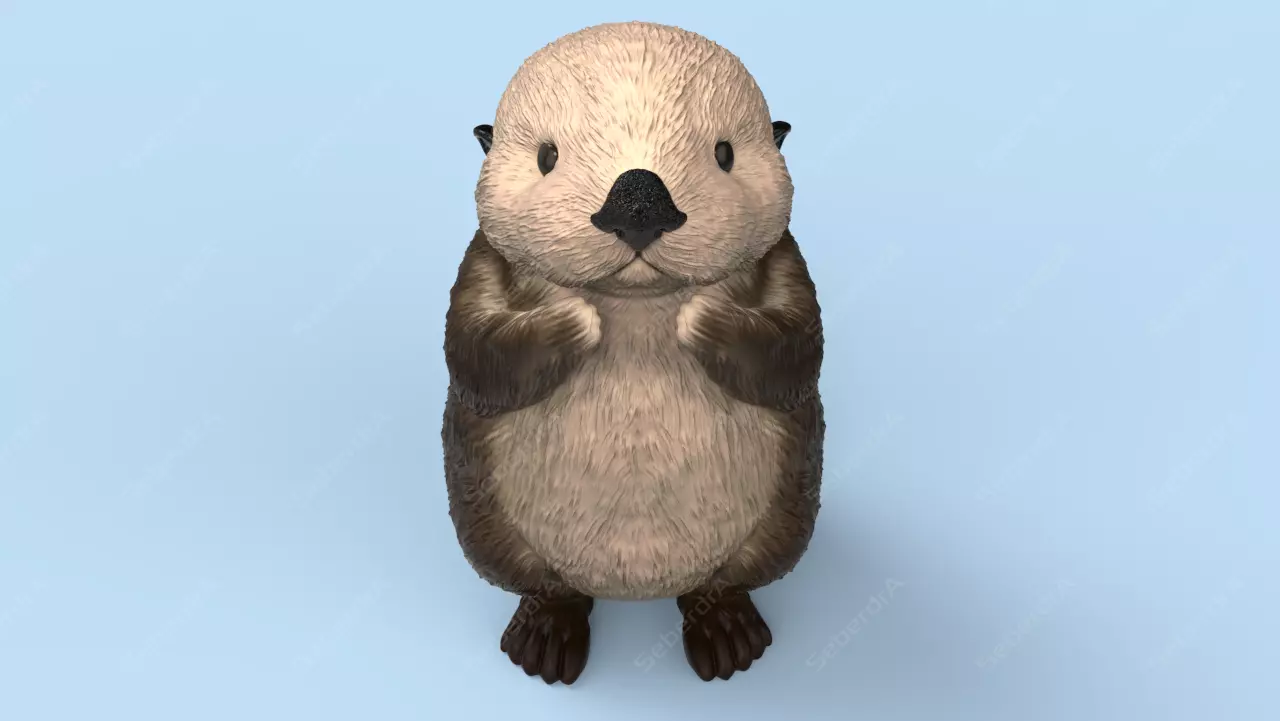 Cute Sea Otter STL and VRML 3D print model_0