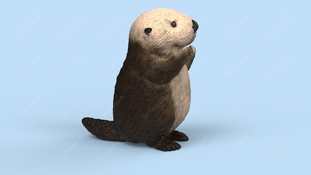 Cute Sea Otter STL and VRML 3D print model_1