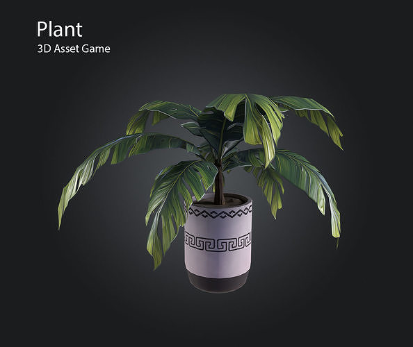 Plant Low-poly 3D model