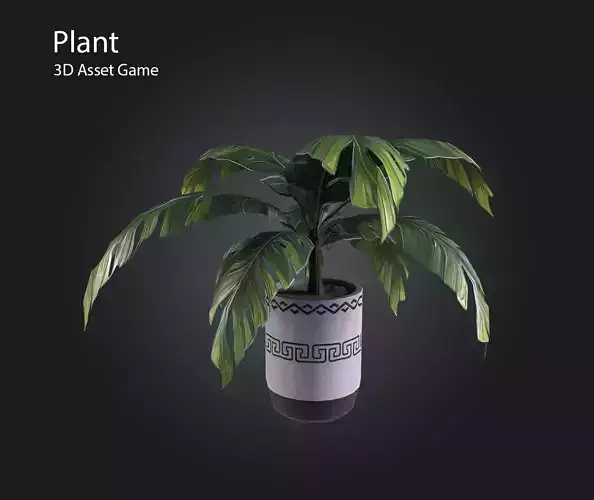 Plant