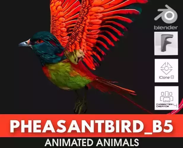PheasantBird B5