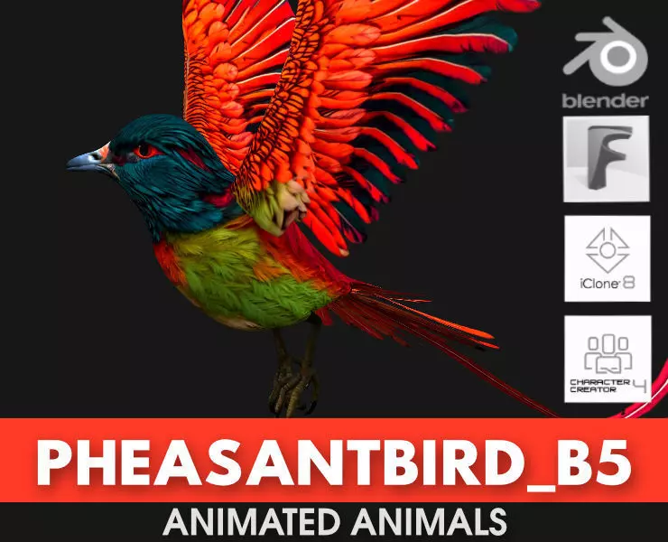 PheasantBird B5 3D model