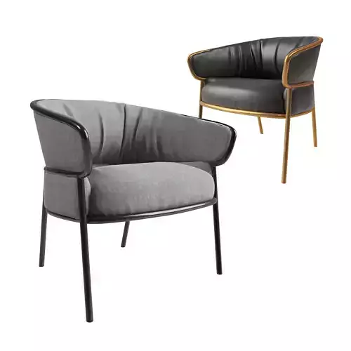 leisure chair Modern