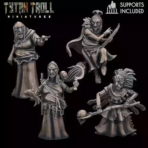 Barovian Witch Pack  Pre-Supported 3D print model