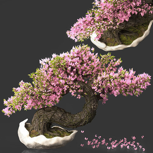 Bonsai Flower Set -03 Low-poly 3D model