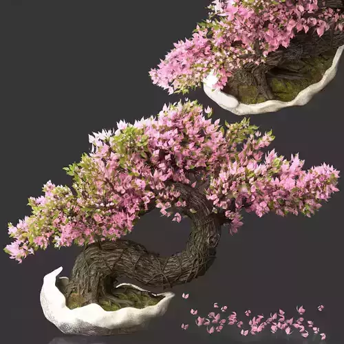 Bonsai Flower Set -03